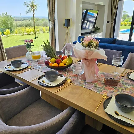 Lux Croatia With Heated Pool Vila